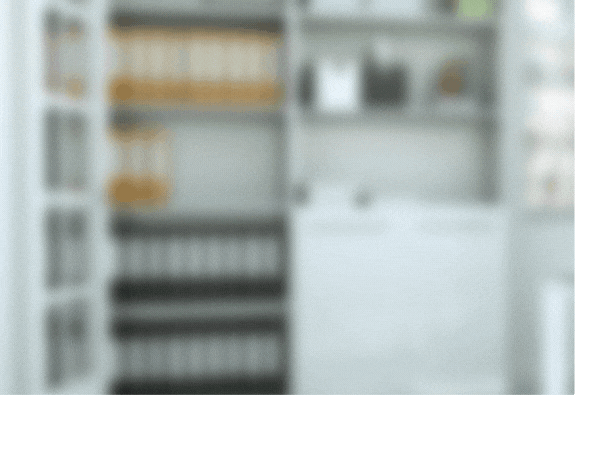 Web-SMS Anwendungsbeispiele Web-SMS Anwendungsbeispiele